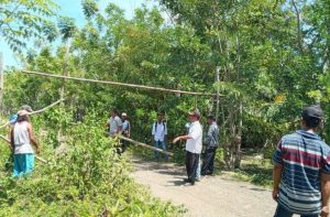 PT Wira Mas Permai Janji Tak Panen Sawit di Lembah Tompotika