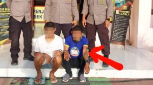 Edan..Pencuri Kambing Pakai Kaos Pilkada ATFM