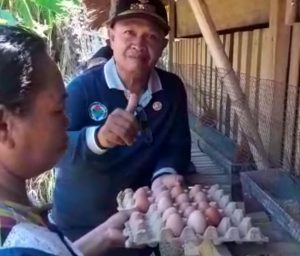 Sempat Dicibir, Ayam Bantuan Program 1 Juta 1 Pekarangan Buktikan Hasil