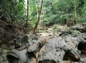 Gawat, Kuala Soho Mulai Kering