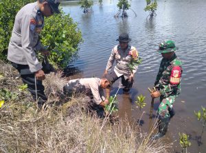 TNI Polri Tanam Ratusan Bibit Mangrove di Uwedikan