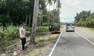 Kecepatan Saingi Rossi, Pembalap Remaja di Pagimana Dihentikan Pohon Kelapa
