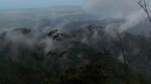Jelajahi Gunung Tompotika Tanpa Ijin, Satu Orang Tim Survei Nikel Dikabarkan Hilang
