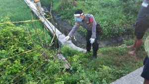 Perangkap Tikus Listrik Kembali Telan Korban Jiwa di Toili