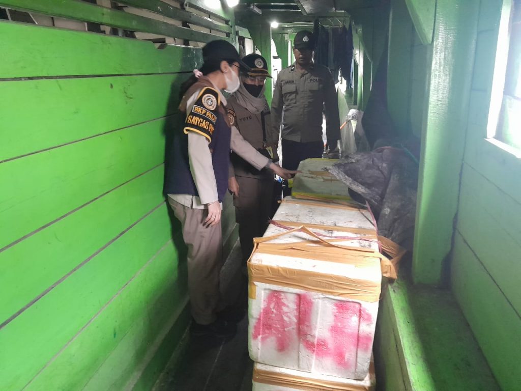 Empat Box Daging Sapi asal Maluku Utara Diamankan Polisi di Luwuk