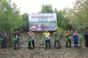 Dandim 1308/LB Rame-rame Tanam 1000 Mangrove for Better Life