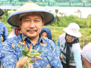 Amirudin Panen Cabai Satu Juta Satu Pekarangan di Bantayan