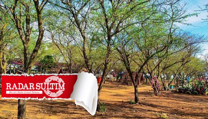 Begal Payudara di Hutan Kota Palu, AMSI Sulteng Desak Aparat Bertindak