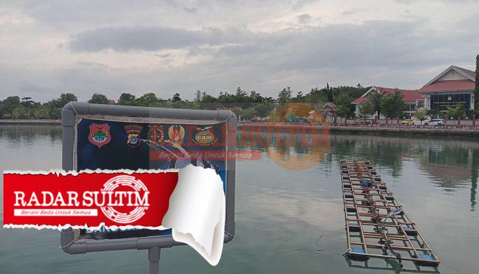 Jadi Daya Tarik Warga, Anakan BCF mulai Berkembang di Teluk Lalong