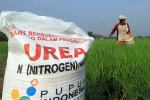 DPRD Banggai Suarakan Kelangkaan Pupuk Petani