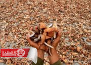 Curi Kopra untuk Makan, Buruh Gudang Dipolisikan Bos