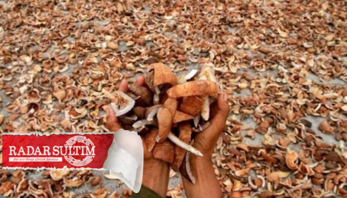 Curi Kopra untuk Makan, Buruh Gudang Dipolisikan Bos
