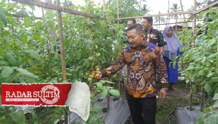 Satu Juta Satu Pekarangan, Panen Lagi