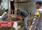 Anjing Peliharaan Disuntik Vaksin untuk Cegah Rabies