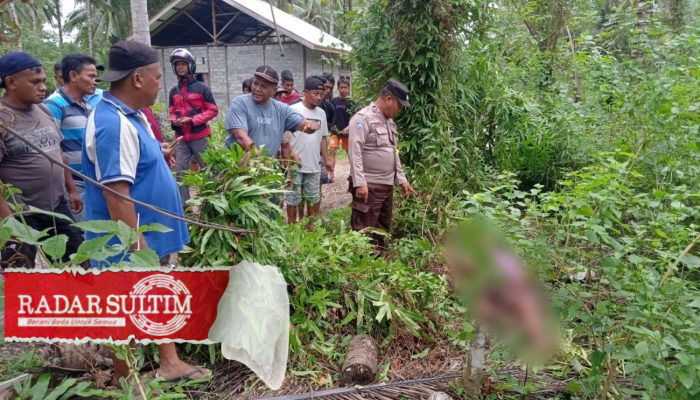 Pria di Kintom Tewas Tersetrum Listrik