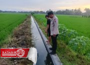 Bocah 1,6 Tahun Tewas Tenggelam di Saluran Irigasi di Moilong