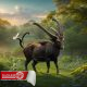 Zodiak Capricorn