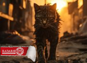 Cat Deaths in Cyprus Caused by Virus Mutations?