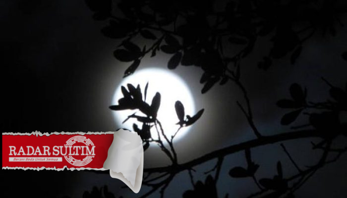 Fenomena Supermoon Malam Ini Dinikmati Warga Luwuk Banggai