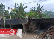 Ancaman Abrasi Pantai Pesisir Luwuk Banggai, Apa Solusinya?