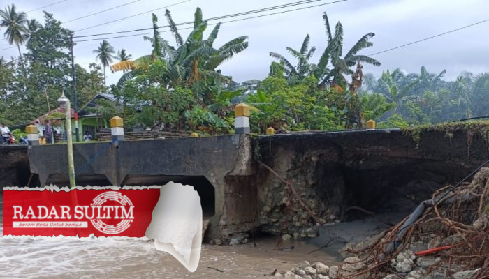 Ancaman Abrasi Pantai Pesisir Luwuk Banggai, Apa Solusinya?