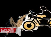 Pria Tewas Ditabrak Motor depan KUA Batui