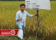 Andi Nur Syamsi Calon Kuat Kepala BRIDA