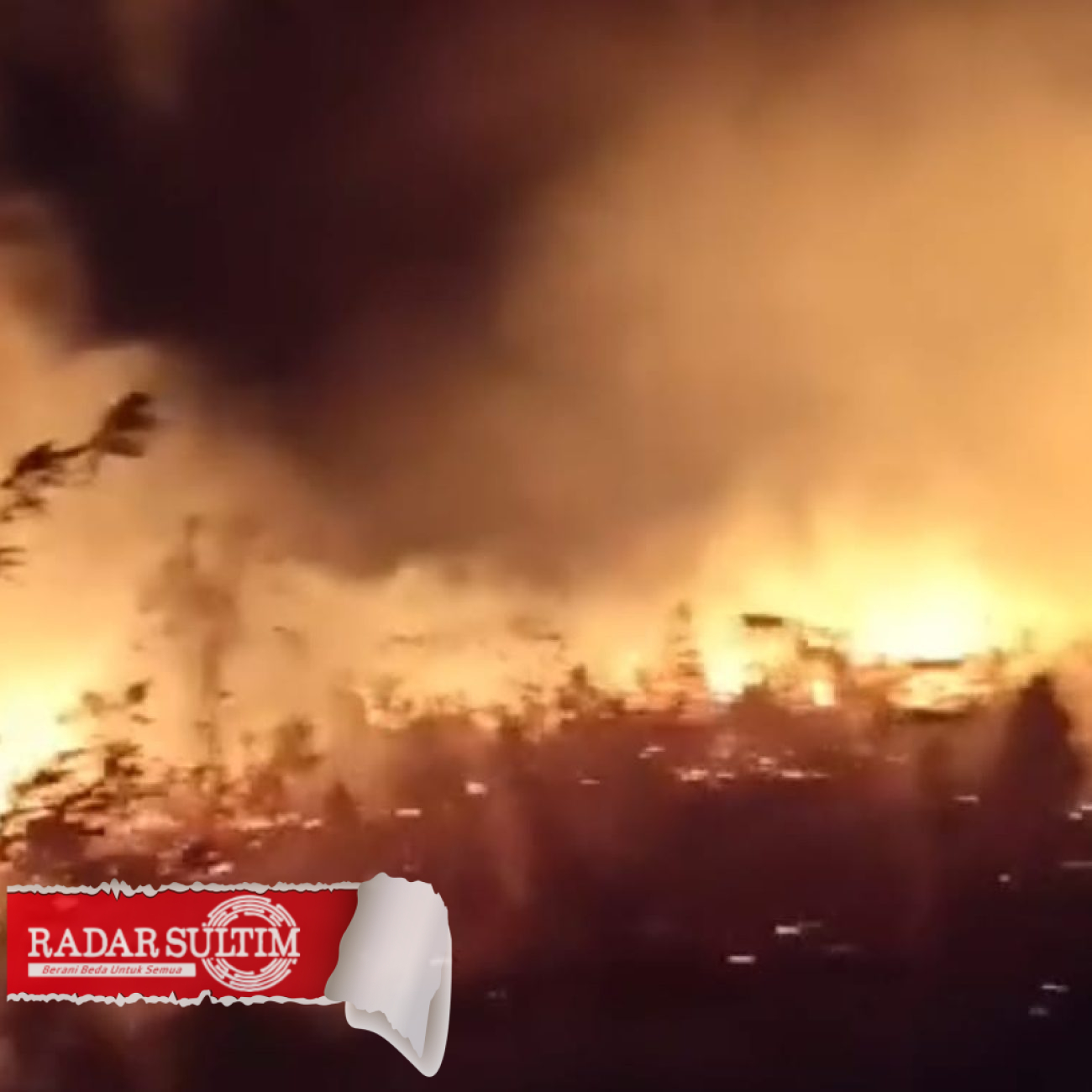 Lahan Seluas 7 Hektar Terbakar di Pagimana