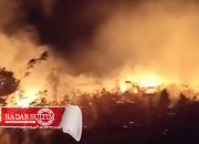 Lahan Seluas 7 Hektar Terbakar di Pagimana