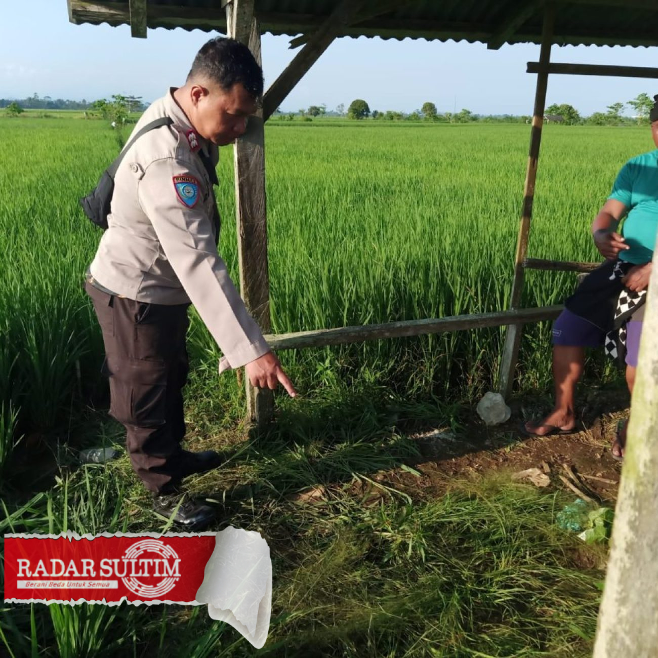 Perangkap Tikus Listrik Kembali Makan Korban Jiwa di Toili Barat