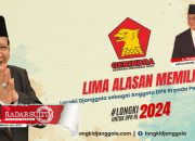 Bakti Longki untuk Sulteng : Menuju DPR RI 2024