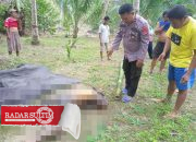 Mulai Membusuk, Mayat Lansia di Bunta Ditemukan Tergeletak di Kebun