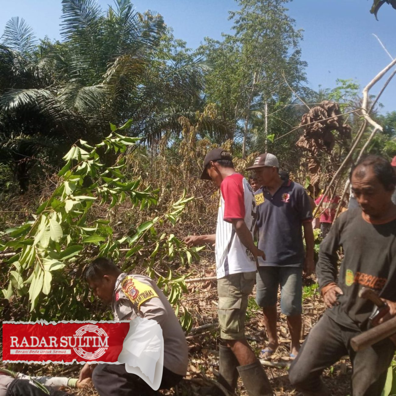 Sempat Minta Istri Menjauh, Pria di Bantayan Tewas Tertimpa Pohon yang Ditebangnya