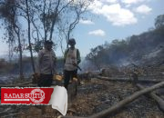 Kebakaran Lahan Perkebunan di Pagimana, Polisi dan Warga Berjibaku Padamkan Api