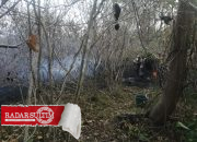 Kebakaran Hutan di Bualemo Nyaris Masuk Pemukiman Warga