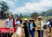 Penanaman Perdana Budidaya Tanaman Sorgum 2023 di Kabupaten Banggai