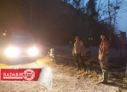 Kebakaran Kebun Kemiri di Luwuk Selatan