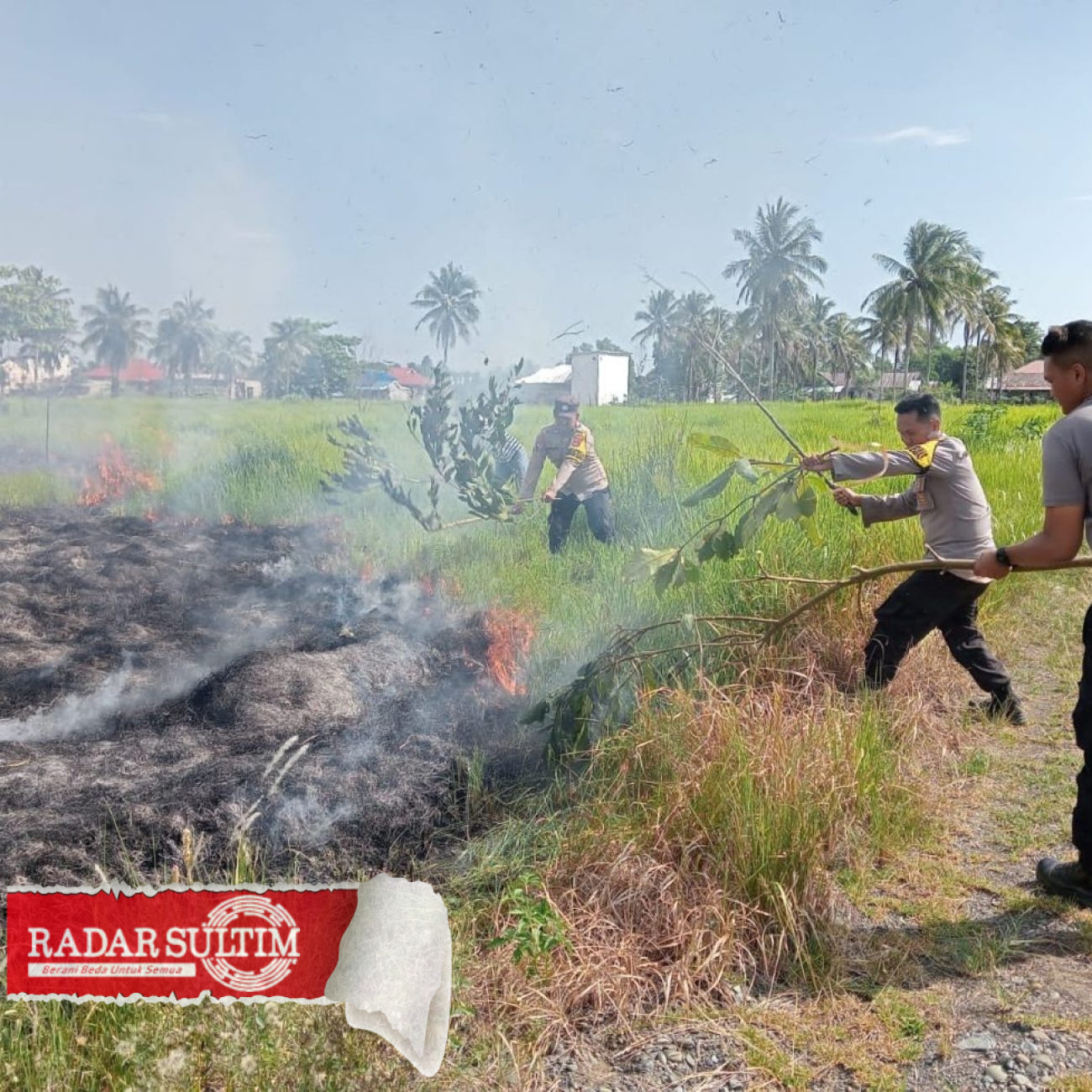 Hanya Pakai Ranting Kayu, Kebakaran Lahan di Toili Berhasil Padam