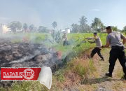 Hanya Pakai Ranting Kayu, Kebakaran Lahan di Toili Berhasil Padam