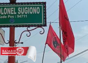 Bendera PDIP Berkibar di Langit Kota Luwuk