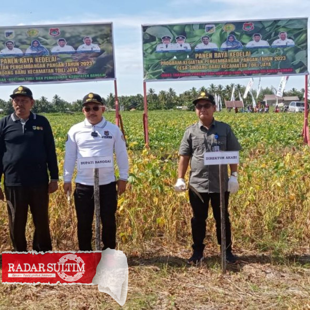 Bupati Banggai Panen Raya Kedelai di Toili Jaya