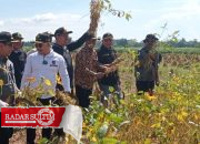 Tak Bergantung pada DBH Migas