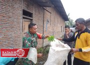 Hadapi Musim Hujan, Babinsa di Batui Bantu Warga Bersihkan Drainase