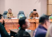 Perkuat Iklim Investasi, DPMPTSP Banggai Susun Dokumen RUPM