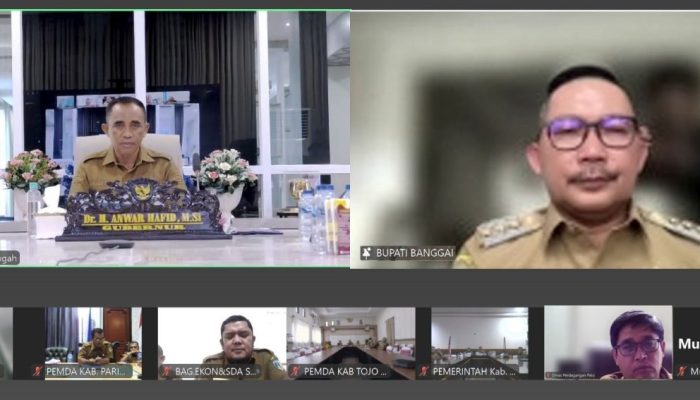 Gubernur Sulteng Gelar Rapat Virtual, Bahas Kuota dan Distribusi LPG